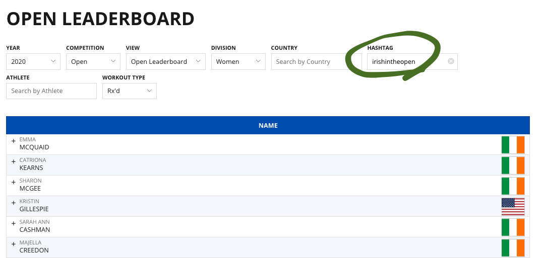 Open Leaderboard of the Irish